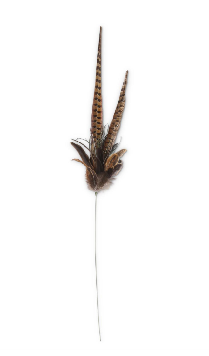 39" Mixed Pheasant Feather Spray