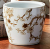 Province Mini Flower Pots -Brown & White- 6 Styles