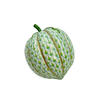 Lime Squash