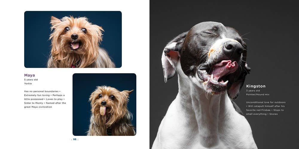 Peanut Butter Dogs - Hardcover Book