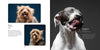 Peanut Butter Dogs - Hardcover Book