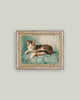 Cat Nap: 7x5