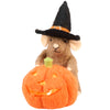 Lighted LED Pumpkin Mouse Critter