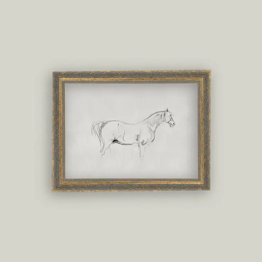 Horse Sketch Art - 12x16