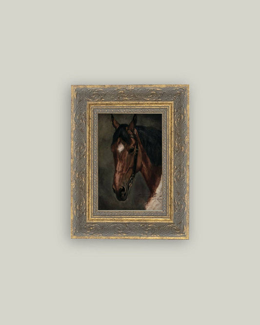Horse Portrait: 8x10