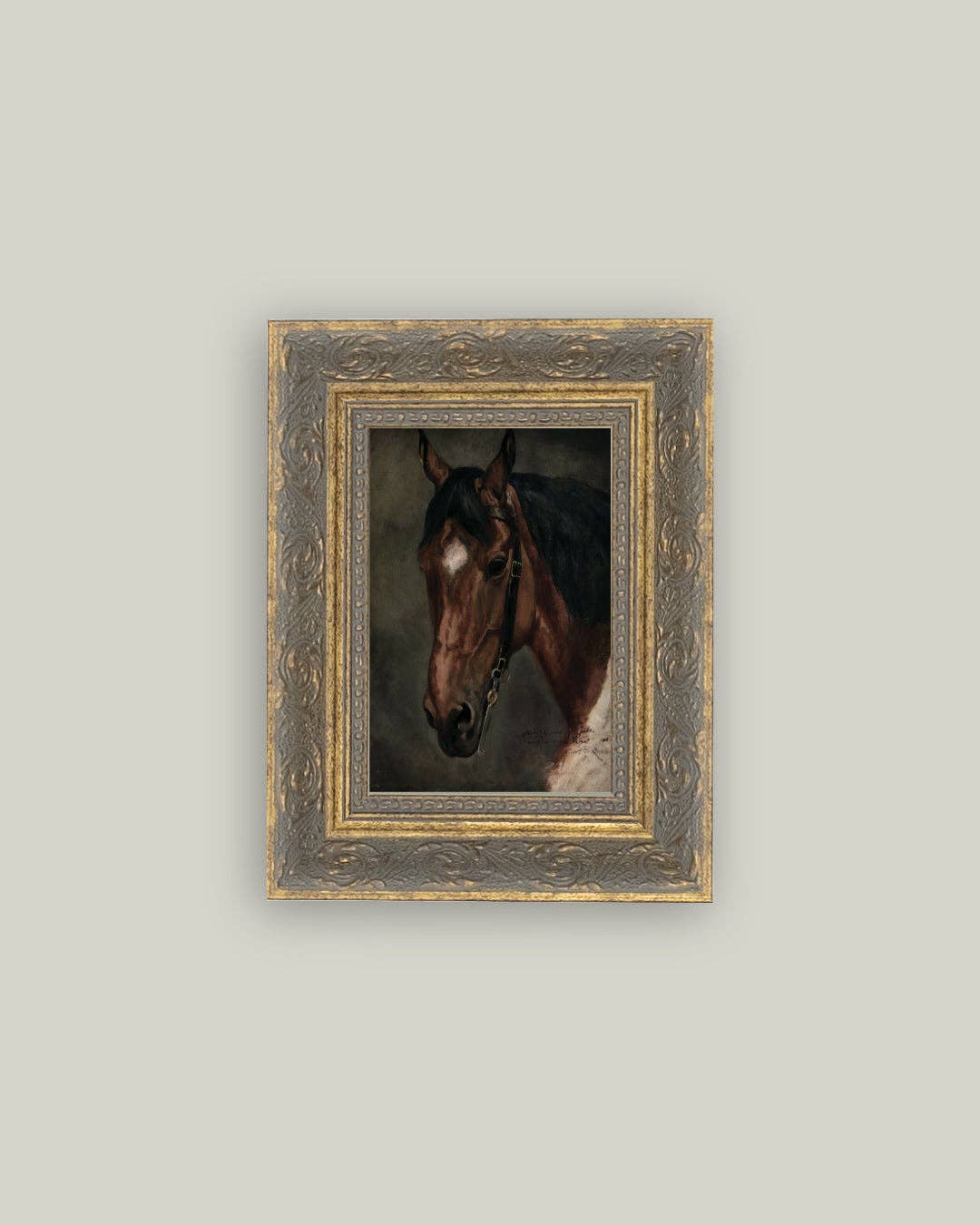 Horse Portrait: 8x10