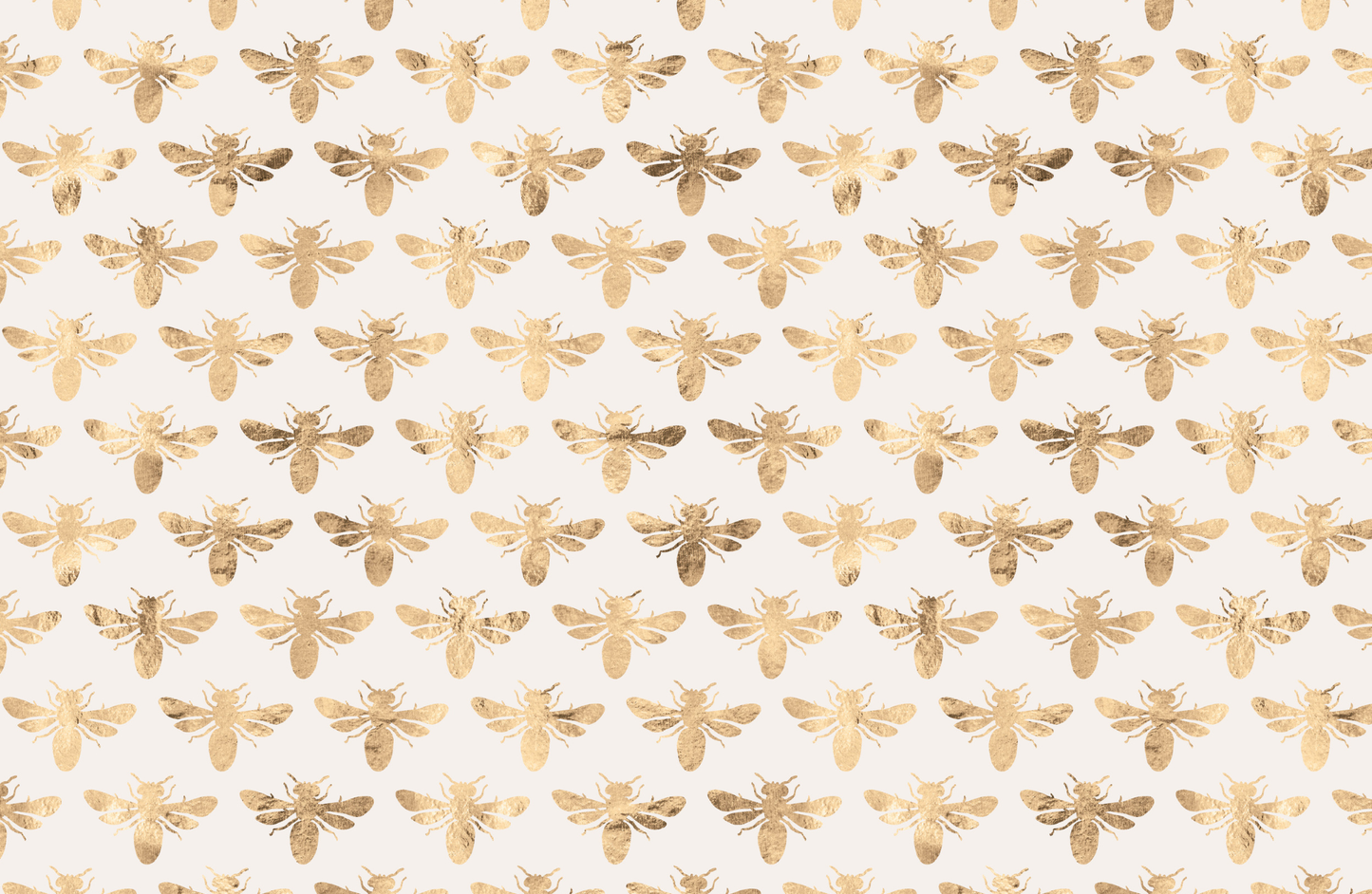 11x17 GOLDEN DELICIOUS insert set of 10