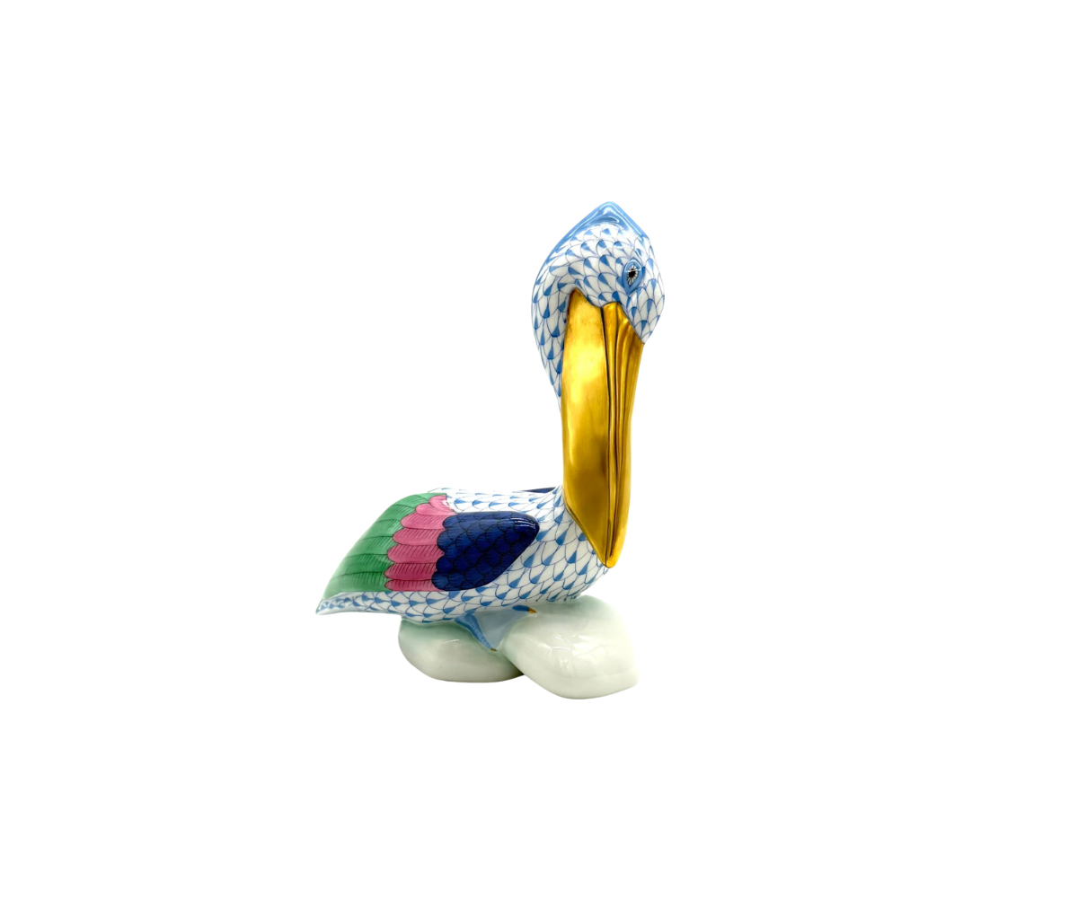 Blue Pelican on Rock