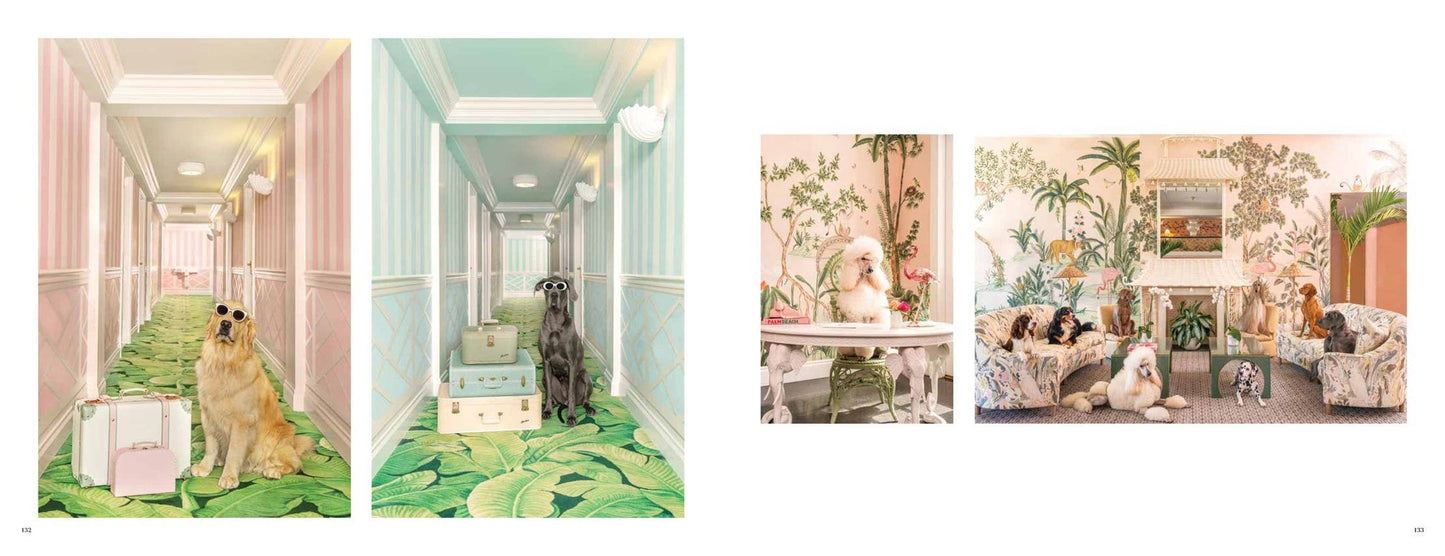 Gray Malin: Dogs Hard Cover Book