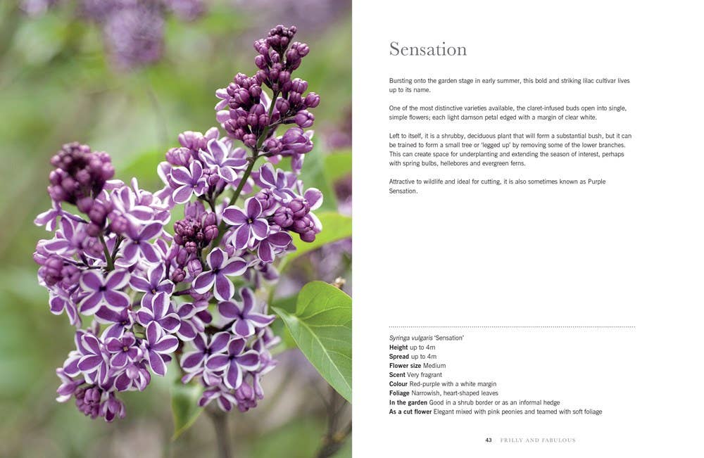 Lilacs:Beautiful Varieties for Home & Garden- Book