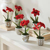 Province Mini Flower Pots -Brown & White- 6 Styles