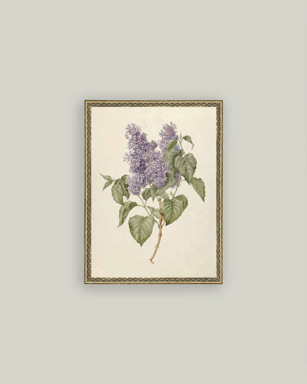 Lilac Branch Framed Antique Art: 5x7