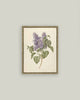 Lilac Branch Framed Antique Art: 5x7