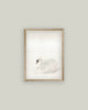 Swan Framed Art
