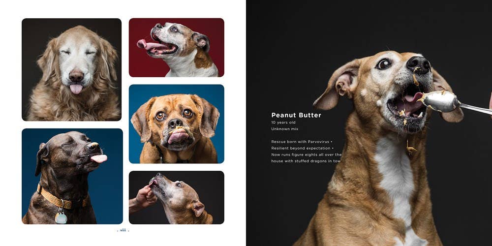 Peanut Butter Dogs - Hardcover Book