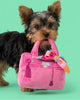 Barkin Bag -Pink w/ Scarf Dog Toy