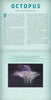 Ocean: A Photicular Book