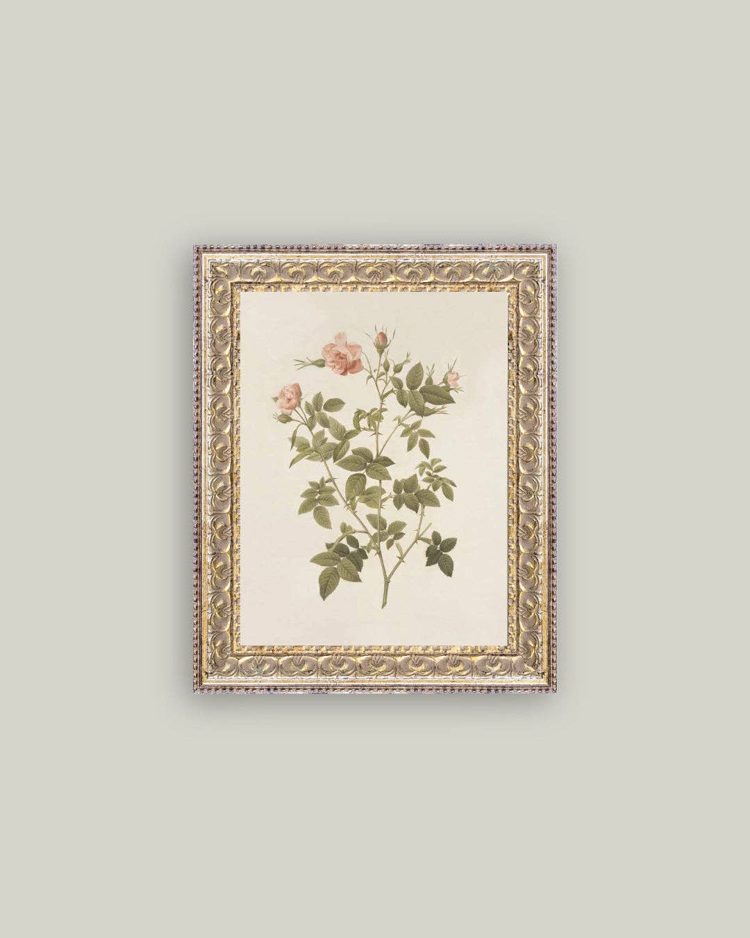 Rosa Framed Antique Art: 8x10