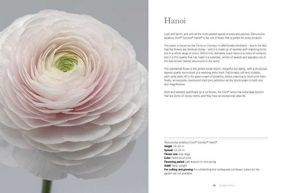 Ranunculus: Beautiful Varieties for Home and Garden - Book