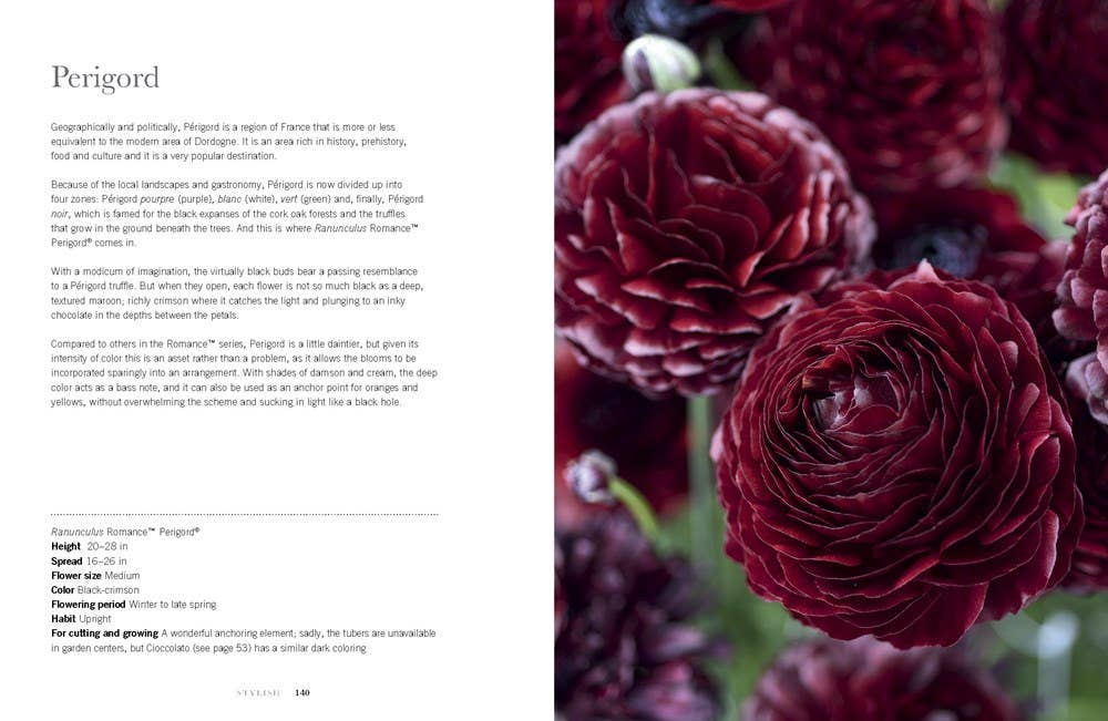 Ranunculus: Beautiful Varieties for Home and Garden - Book