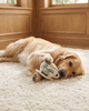 Ruff's Coffee Cup + Saucer - Dog Toy