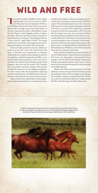 America: A MOVING Photicular Book
