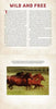 America: A MOVING Photicular Book
