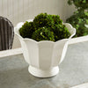 Mirabelle Fluted Cachepot Large