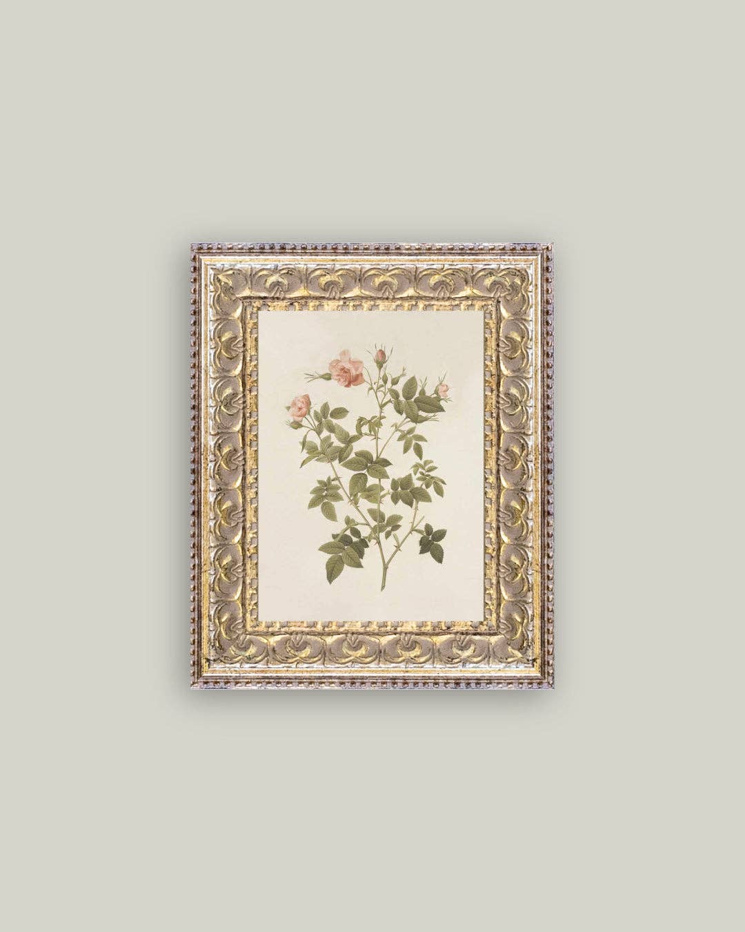 Rosa Framed Antique Art: 8x10