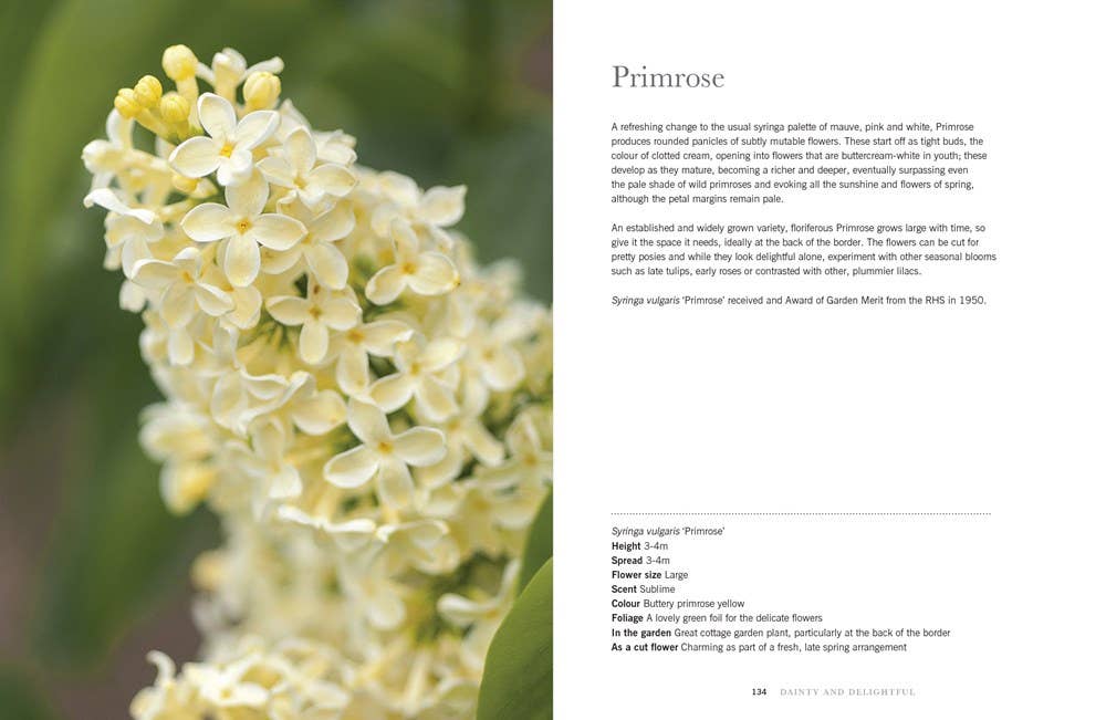 Lilacs:Beautiful Varieties for Home & Garden- Book