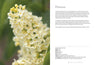 Lilacs:Beautiful Varieties for Home & Garden- Book