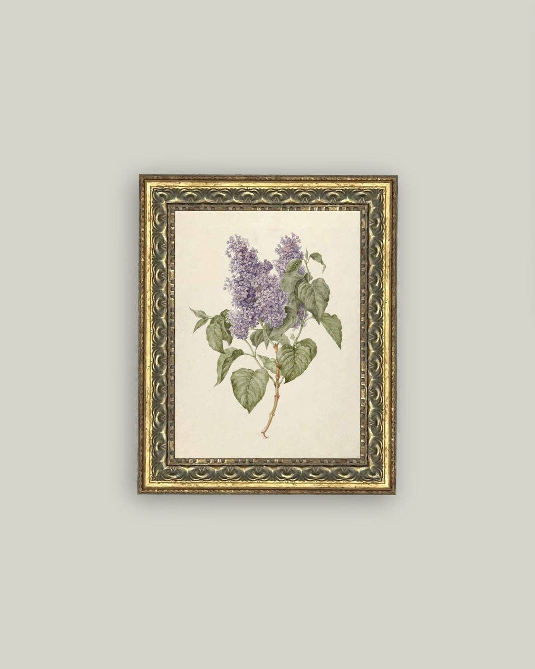 Lilac Branch Framed Antique Art: 5x7