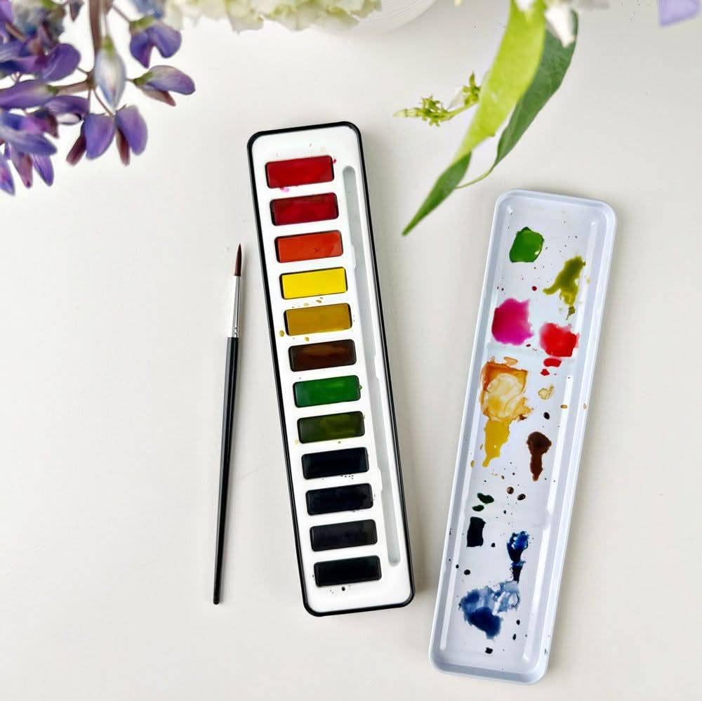 Watercolor Paint Set: 12 Colors