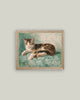 Cat Nap: 7x5