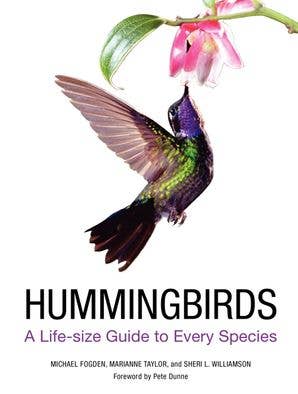 Hummingbirds: Michael Fogden