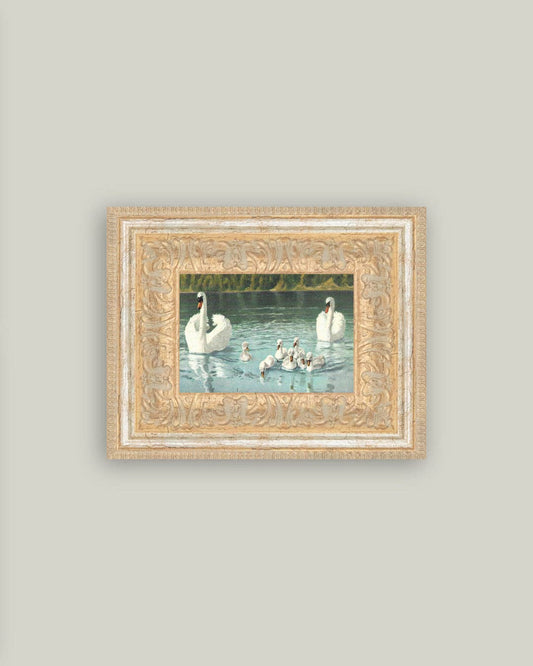 Swan Family Framed Antique Art: 9x7