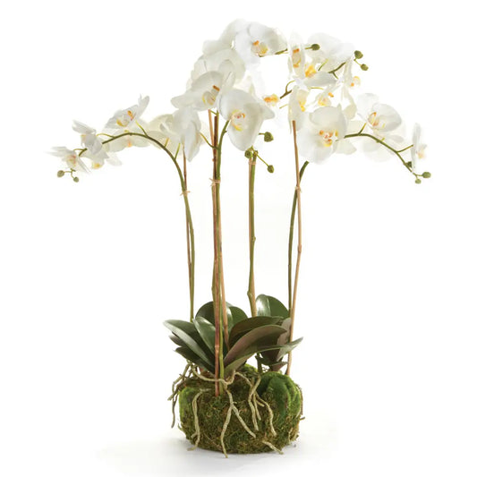 Orchid Bowl Drop-In 25"