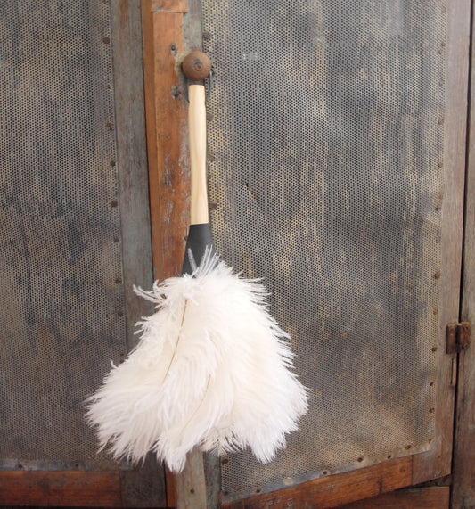 Cream Feather Duster 14"