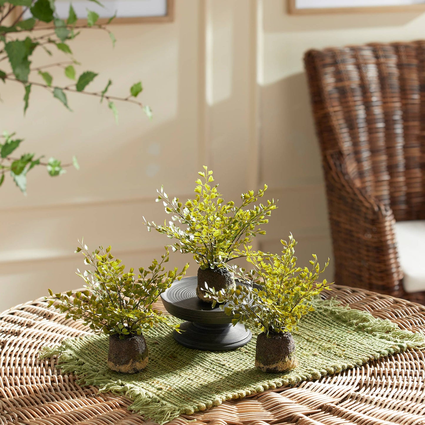 Maidenhair Fern Drop-Ins
