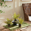 Maidenhair Fern Drop-Ins