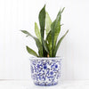 Blue Chinoiserie Planter - Small